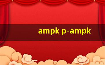 ampk p-ampk